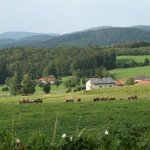 20 Jahre MCK Freitag Carmen